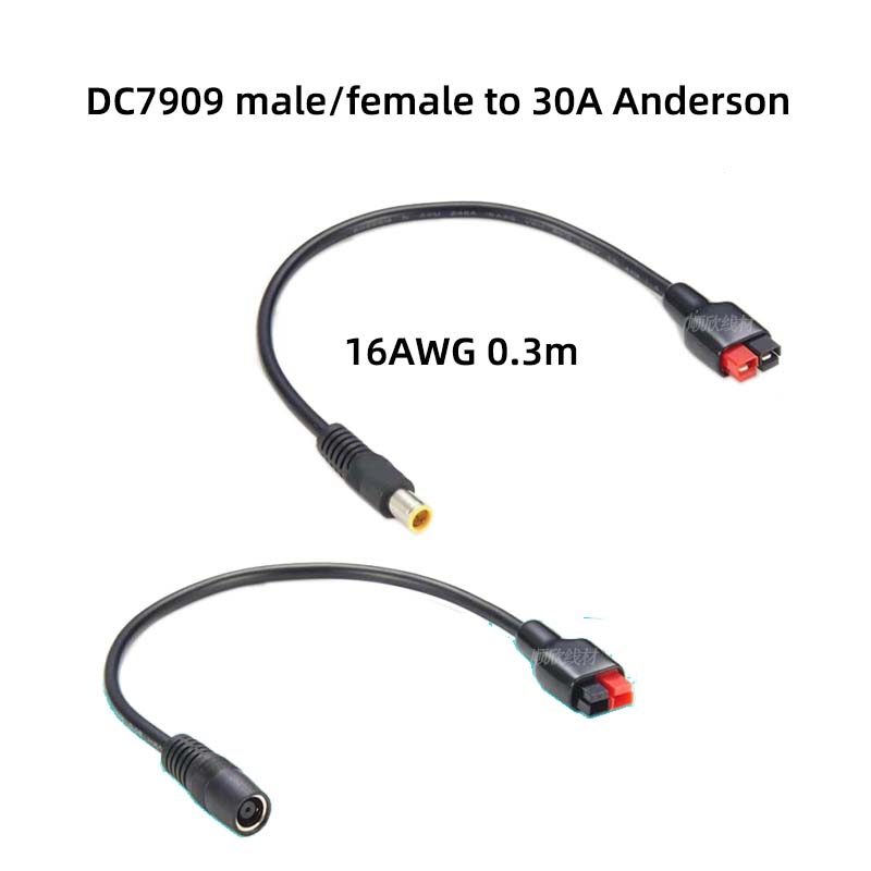 Outdoor Power Extension - DC7909 male and female to 30A