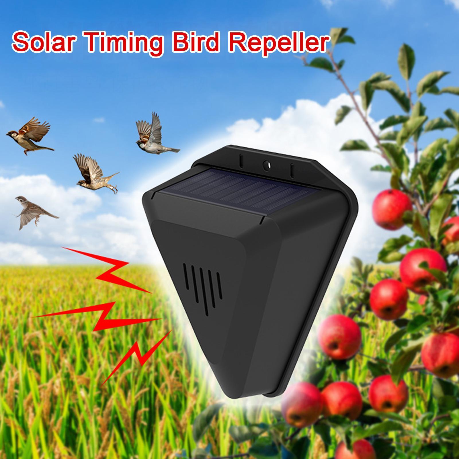 Solar Timer Bird Repeller With - Outdoor Power With Timer ulasan dan harga